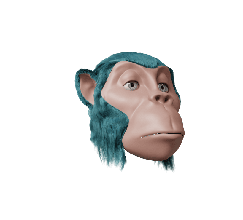 Case-APE 14 ABC-fullHead